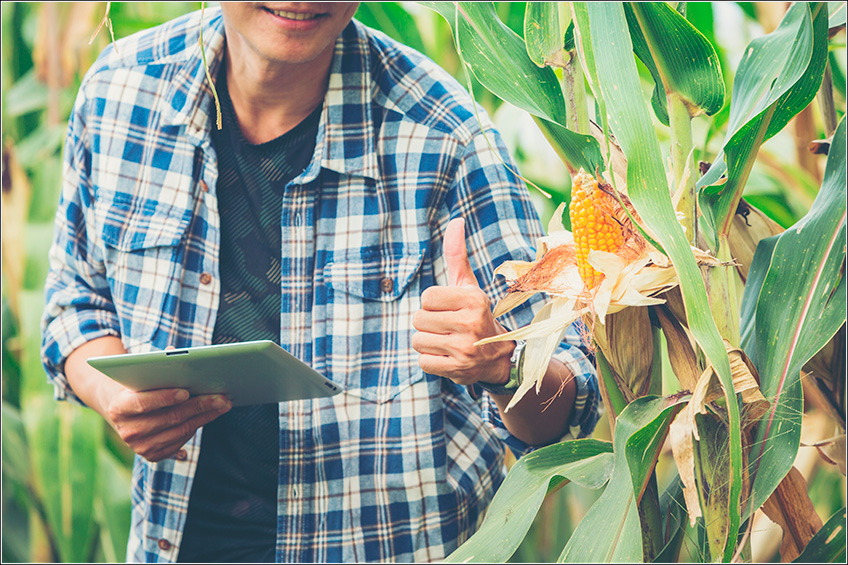 Gestão Agrícola para o Controle de Pragas