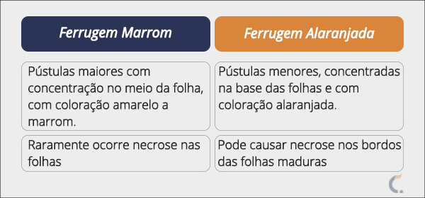 Diferenças Entre Ferrugem Marrom e Ferrugem Alaranjada