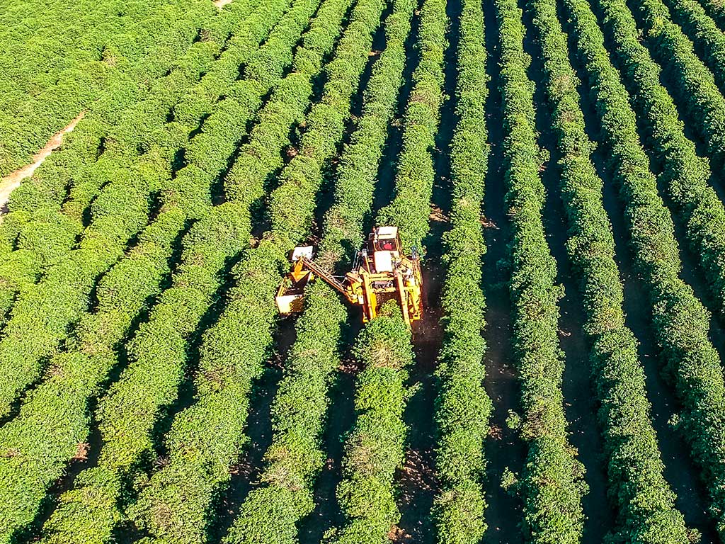 Tecnologia e Máquinas na Cafeicultura Tecnologia e Máquinas na Cafeicultura