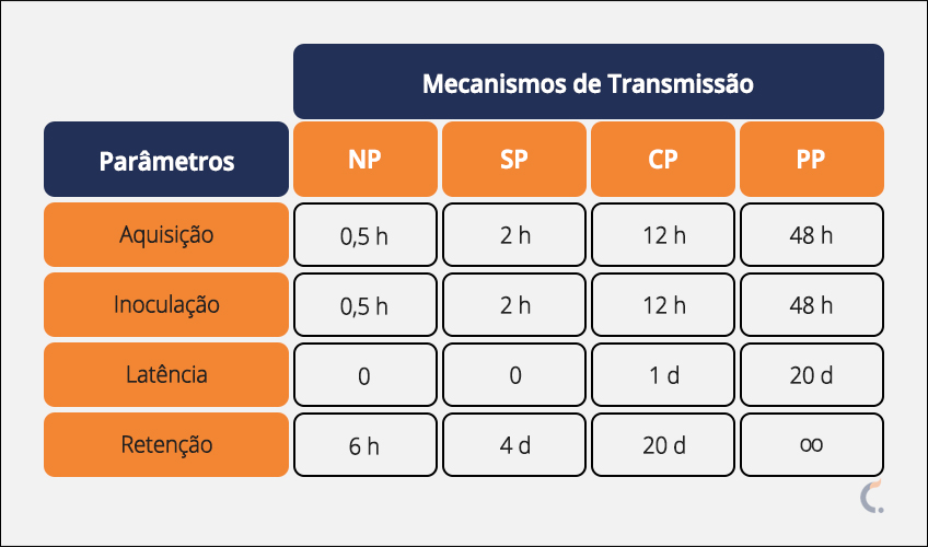 Mecanismos de Transmissão do Pulgão Mecanismos de Transmissão do Pulgão