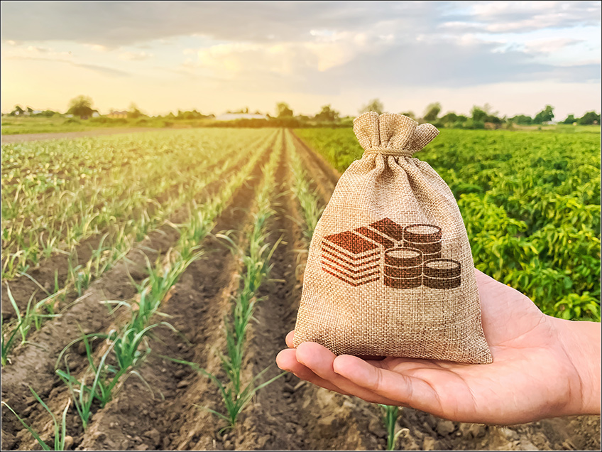 Principais Impostos do Produtor Rural