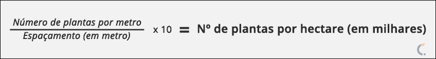 Número de Plantas por Hectare