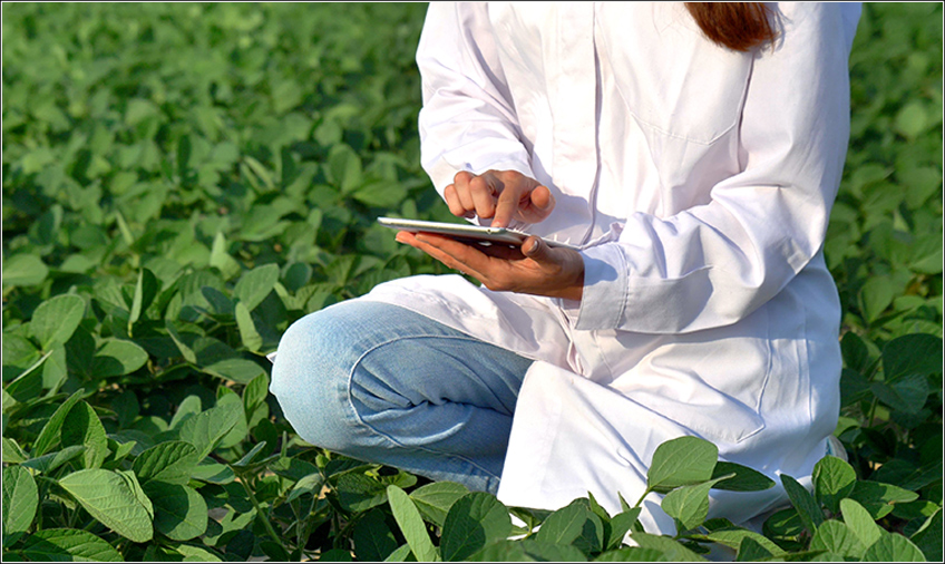 Software Agrícola para Controle de Bioinsumos