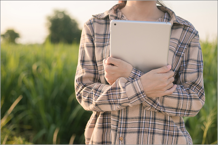 Software de Gestão Agrícola para Melhorar Produtividade dos Canaviais